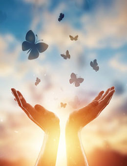 promo-banner-image