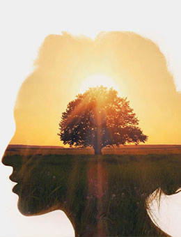 promo-banner-image